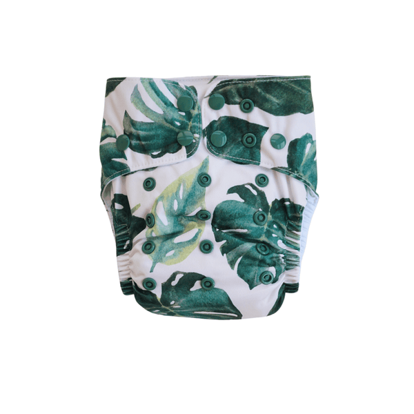 Monstera