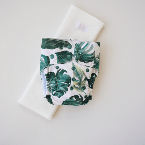Monstera